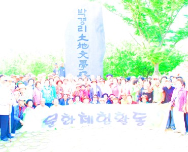 노인일자리사업 문화체험활동 실시 이미지