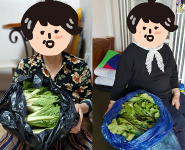 [노인맞춤돌봄서비스]어울림협동조합 열무, 얼갈이 후원 나눔 이미지