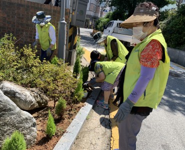 [노인자원봉사 활성화 지원사업] 선배시민 그린봉사단 3~4회차 봉사활동 이미지