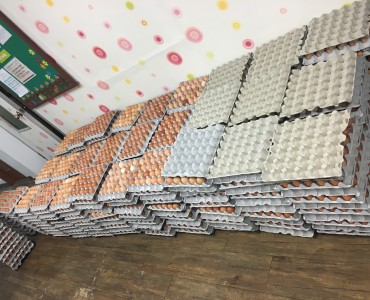 [노인돌봄기본서비스] 한호팜 구운계란 서비스연계 이미지